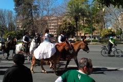 Muestra de Piostros en la XII Marcha Hípica en Córdoba