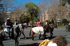 Muestra de Piostros en la XII Marcha Hípica en Córdoba