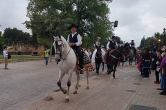 feria14